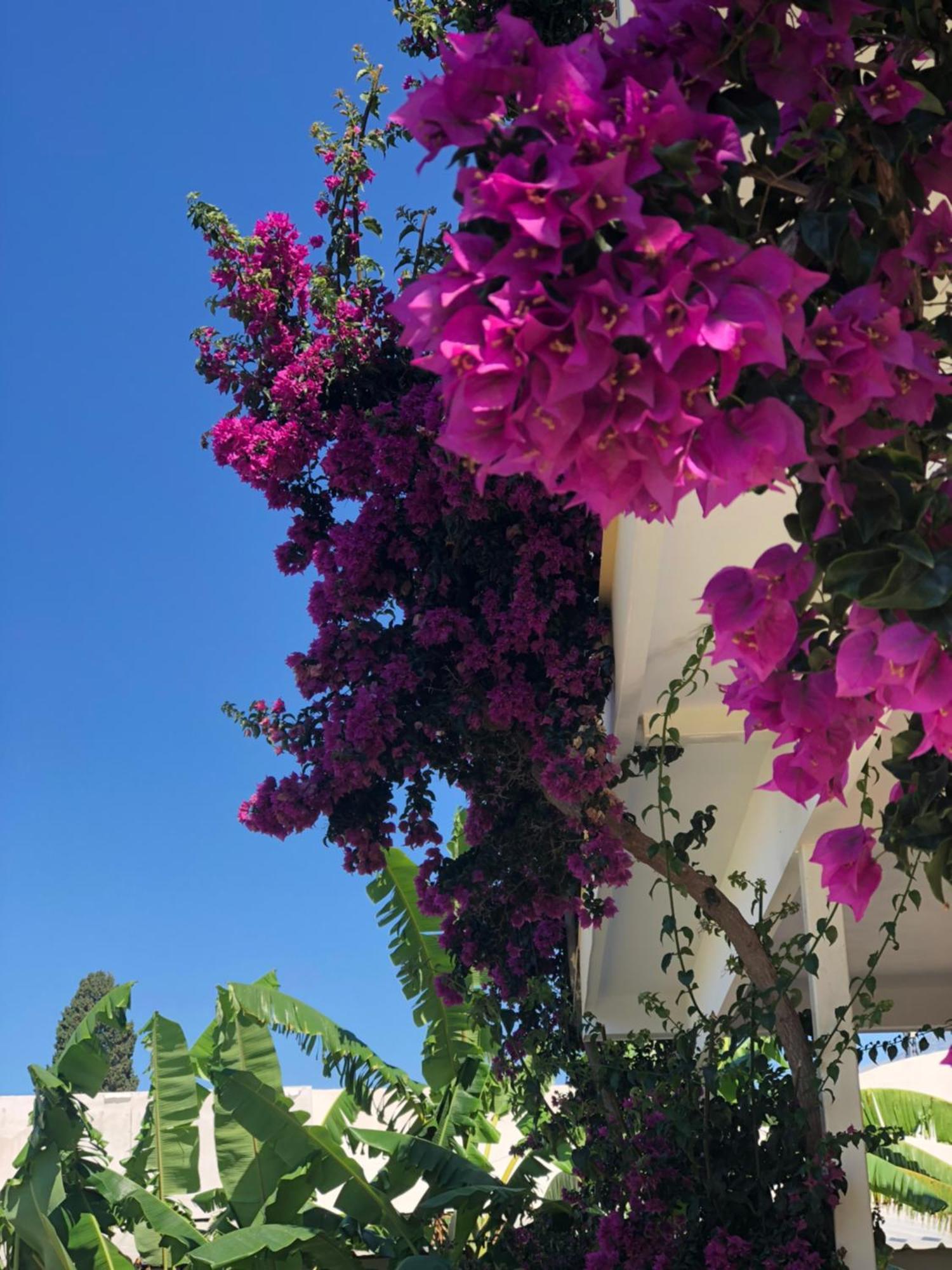 Hotel Jon Dhërmi Kültér fotó